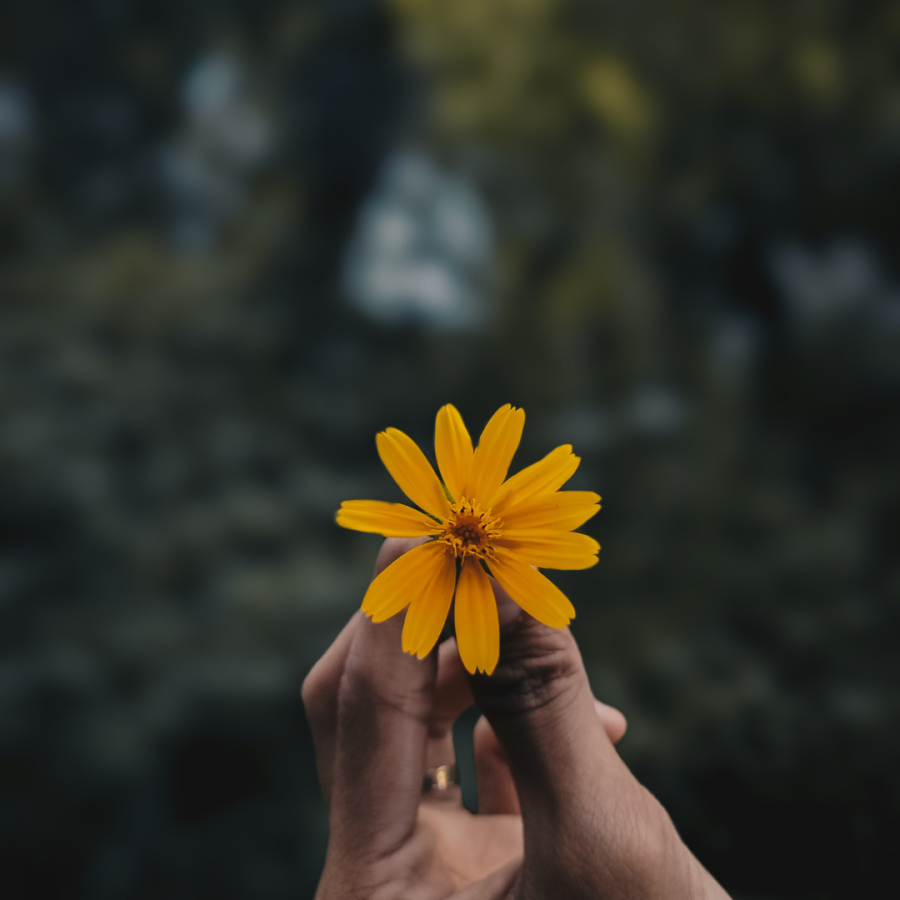 Diseño sin título (38)